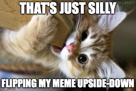 That's just silly cat | THAT'S JUST SILLY; FLIPPING MY MEME UPSIDE-DOWN | image tagged in that's just silly cat,funny,upside-down | made w/ Imgflip meme maker
