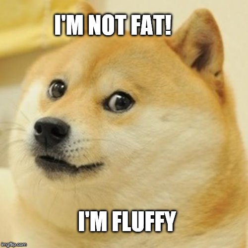 Doge | I'M NOT FAT! I'M FLUFFY | image tagged in memes,doge | made w/ Imgflip meme maker