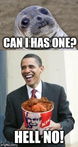CAN I HAS ONE? HELL NO! | image tagged in barack obama,seal | made w/ Imgflip meme maker
