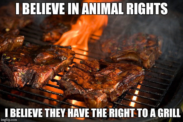 Grill | I BELIEVE IN ANIMAL RIGHTS; I BELIEVE THEY HAVE THE RIGHT TO A GRILL | image tagged in grill | made w/ Imgflip meme maker