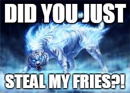 When someone steals my fries. | DID YOU JUST; STEAL MY FRIES?! | image tagged in angry cat | made w/ Imgflip meme maker