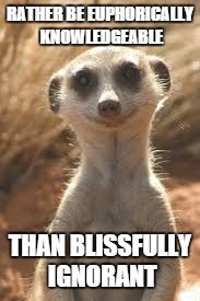 Meerkat |  RATHER BE EUPHORICALLY KNOWLEDGEABLE; THAN BLISSFULLY IGNORANT | image tagged in meerkat | made w/ Imgflip meme maker