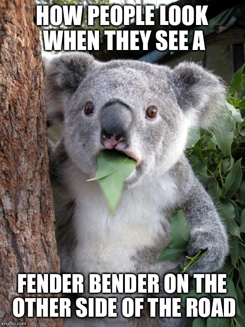 Surprised Koala |  HOW PEOPLE LOOK WHEN THEY SEE A; FENDER BENDER ON THE OTHER SIDE OF THE ROAD | image tagged in memes,surprised koala | made w/ Imgflip meme maker