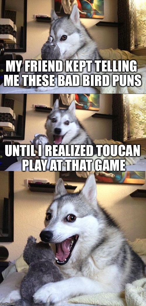 Bad Pun Dog Meme | MY FRIEND KEPT TELLING ME THESE BAD BIRD PUNS; UNTIL I REALIZED TOUCAN PLAY AT THAT GAME | image tagged in memes,bad pun dog | made w/ Imgflip meme maker
