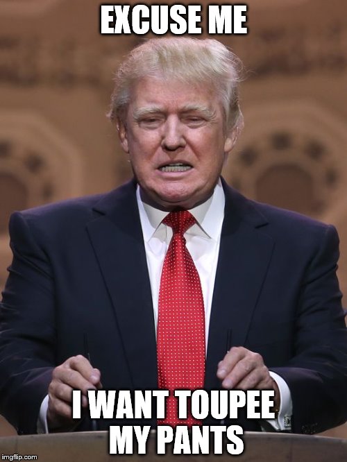 After Rubio dismantled him | EXCUSE ME; I WANT TOUPEE MY PANTS | image tagged in donald trump,marco rubio | made w/ Imgflip meme maker