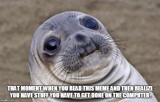 Awkward Moment Sealion Meme | THAT MOMENT WHEN YOU READ THIS MEME AND THEN REALIZE YOU HAVE STUFF YOU HAVE TO GET DONE ON THE COMPUTER . | image tagged in memes,awkward moment sealion | made w/ Imgflip meme maker