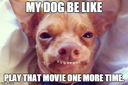 Aspie Dog | MY DOG BE LIKE; PLAY THAT MOVIE ONE MORE TIME. | image tagged in memes,gasp rage face | made w/ Imgflip meme maker
