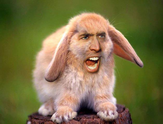 nicolas cage face swap