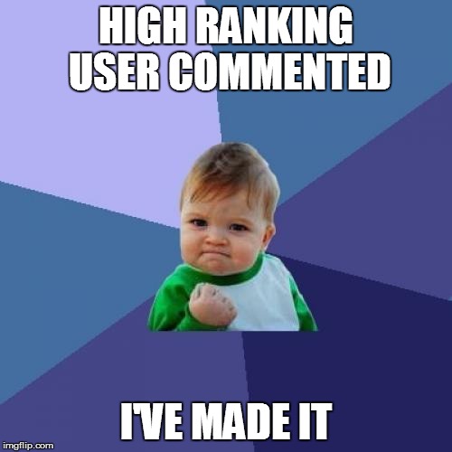 Success Kid Meme | HIGH RANKING USER COMMENTED I'VE MADE IT | image tagged in memes,success kid | made w/ Imgflip meme maker