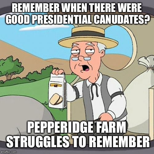 Pepperidge Farm Remembers Meme | REMEMBER WHEN THERE WERE GOOD PRESIDENTIAL CANUDATES? PEPPERIDGE FARM STRUGGLES TO REMEMBER | image tagged in memes,pepperidge farm remembers | made w/ Imgflip meme maker