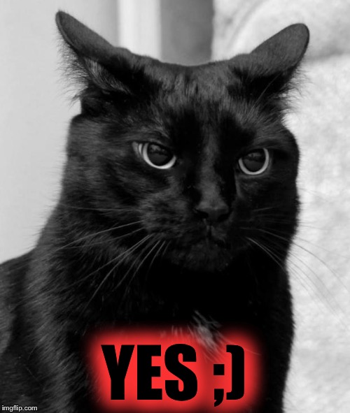 pissed cat | YES ;) | image tagged in pissed cat | made w/ Imgflip meme maker