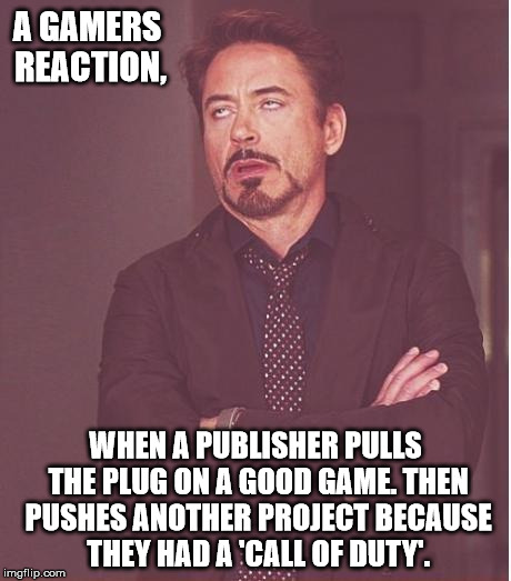 Face You Make Robert Downey Jr Meme | A GAMERS REACTION, WHEN A PUBLISHER PULLS THE PLUG ON A GOOD GAME. THEN PUSHES ANOTHER PROJECT BECAUSE THEY HAD A 'CALL OF DUTY'. | image tagged in memes,face you make robert downey jr | made w/ Imgflip meme maker