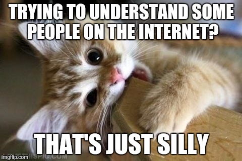 That's just silly cat | TRYING TO UNDERSTAND SOME PEOPLE ON THE INTERNET? THAT'S JUST SILLY | image tagged in that's just silly cat,cats,memes,funny | made w/ Imgflip meme maker