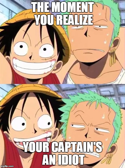 luffy and zoro | THE MOMENT YOU REALIZE; YOUR CAPTAIN'S AN IDIOT | image tagged in luffy and zoro | made w/ Imgflip meme maker