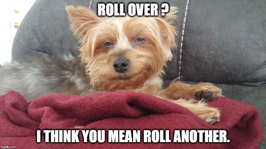 ROLL OVER ? I THINK YOU MEAN ROLL ANOTHER. | made w/ Imgflip meme maker