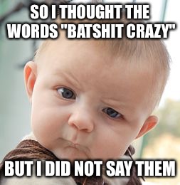 Skeptical Baby Meme | SO I THOUGHT THE WORDS "BATSHIT CRAZY"; BUT I DID NOT SAY THEM | image tagged in memes,skeptical baby | made w/ Imgflip meme maker