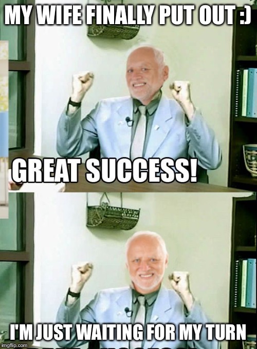 Great Success Harold | MY WIFE FINALLY PUT OUT :) I'M JUST WAITING FOR MY TURN | image tagged in great success harold | made w/ Imgflip meme maker