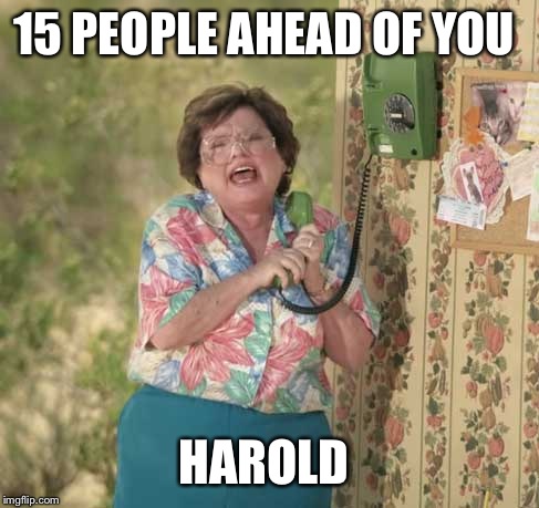 15 Memes ahead of you | 15 PEOPLE AHEAD OF YOU HAROLD | image tagged in 15 memes ahead of you | made w/ Imgflip meme maker