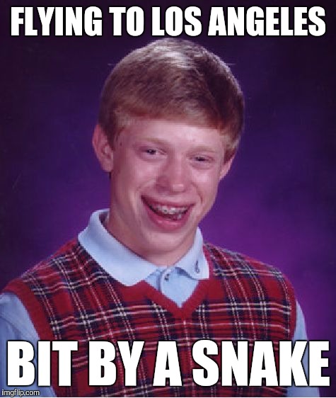 Enough is enough! | FLYING TO LOS ANGELES; BIT BY A SNAKE | image tagged in memes,bad luck brian,funny,snakes on a plane,samuel l jackson,enough is enough | made w/ Imgflip meme maker