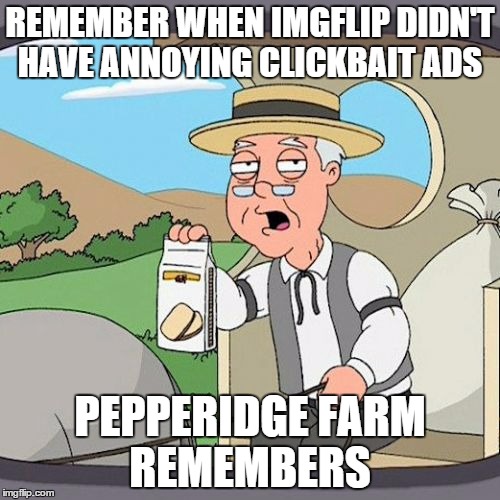 Pepperidge Farm Remembers | REMEMBER WHEN IMGFLIP DIDN'T HAVE ANNOYING CLICKBAIT ADS; PEPPERIDGE FARM REMEMBERS | image tagged in memes,pepperidge farm remembers | made w/ Imgflip meme maker