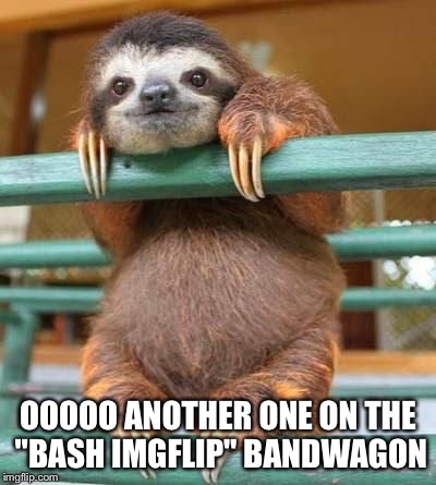 cute-sloth | OOOOO ANOTHER ONE ON THE "BASH IMGFLIP" BANDWAGON | image tagged in cute-sloth | made w/ Imgflip meme maker