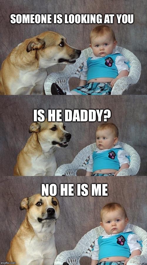 Dad Joke Dog | SOMEONE IS LOOKING AT YOU; IS HE DADDY? NO HE IS ME | image tagged in memes,dad joke dog | made w/ Imgflip meme maker
