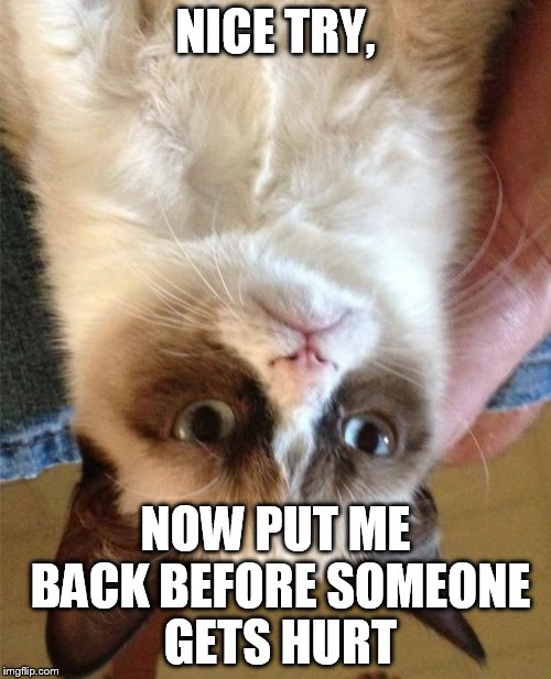 Grumpy Cat turn that frown upside down |  NICE TRY, NOW PUT ME BACK BEFORE SOMEONE GETS HURT | image tagged in memes,grumpy cat | made w/ Imgflip meme maker