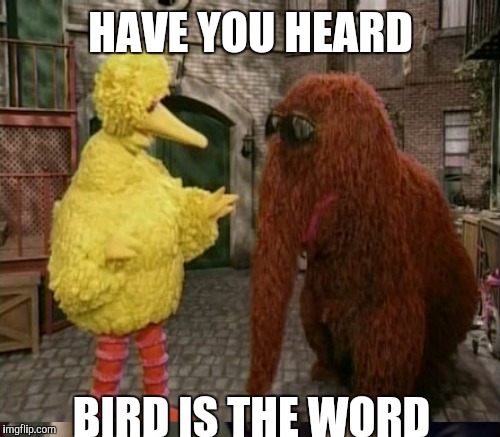 HAVE YOU HEARD BIRD IS THE WORD | made w/ Imgflip meme maker