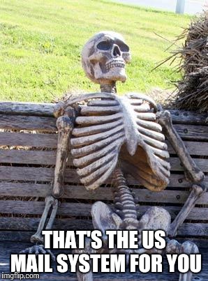 Waiting Skeleton Meme | THAT'S THE US MAIL SYSTEM FOR YOU | image tagged in memes,waiting skeleton | made w/ Imgflip meme maker