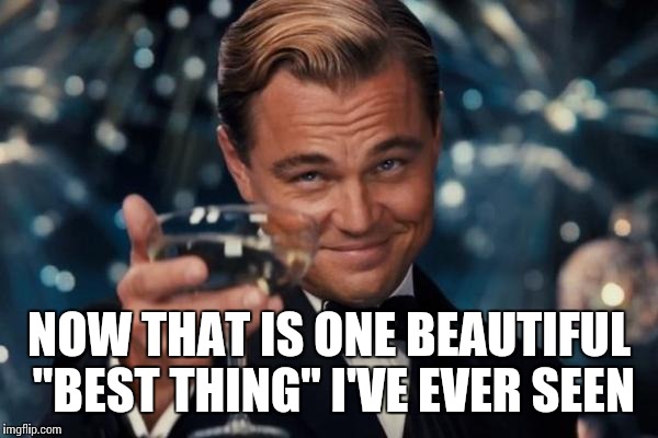 Leonardo Dicaprio Cheers Meme | NOW THAT IS ONE BEAUTIFUL "BEST THING" I'VE EVER SEEN | image tagged in memes,leonardo dicaprio cheers | made w/ Imgflip meme maker