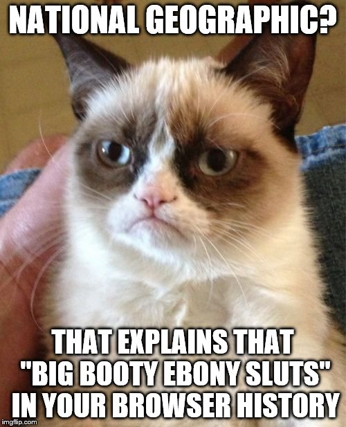 Grumpy Cat Meme | NATIONAL GEOGRAPHIC? THAT EXPLAINS THAT "BIG BOOTY EBONY S**TS" IN YOUR BROWSER HISTORY | image tagged in memes,grumpy cat | made w/ Imgflip meme maker