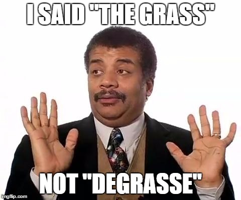 Neil Degrasse Tyson | I SAID "THE GRASS"; NOT "DEGRASSE" | image tagged in neil degrasse tyson | made w/ Imgflip meme maker