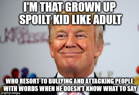 Donald trump approves | I'M THAT GROWN UP SPOILT KID LIKE ADULT; WHO RESORT TO BULLYING AND ATTACKING PEOPLE WITH WORDS WHEN HE DOESN'T KNOW WHAT TO SAY | image tagged in donald trump approves | made w/ Imgflip meme maker