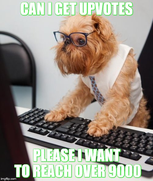 work dog | CAN I GET UPVOTES; PLEASE I WANT TO REACH OVER 9000 | image tagged in work dog | made w/ Imgflip meme maker