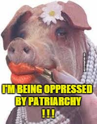 I'M BEING OPPRESSED BY PATRIARCHY ! ! ! | made w/ Imgflip meme maker