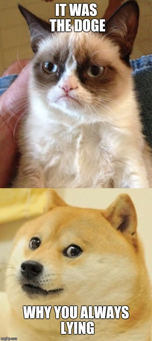 IT WAS THE DOGE WHY YOU ALWAYS LYING | made w/ Imgflip meme maker