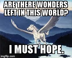 pegasus | ARE THERE WONDERS LEFT IN THIS WORLD? I MUST HOPE. | image tagged in pegasus | made w/ Imgflip meme maker