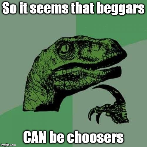 Philosoraptor Meme | So it seems that beggars CAN be choosers | image tagged in memes,philosoraptor | made w/ Imgflip meme maker