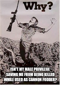 ISN'T MY MALE PRIVILEGE SAVING ME FROM BEING KILLED WHILE USED AS CANNON FODDER? | image tagged in why soldier | made w/ Imgflip meme maker