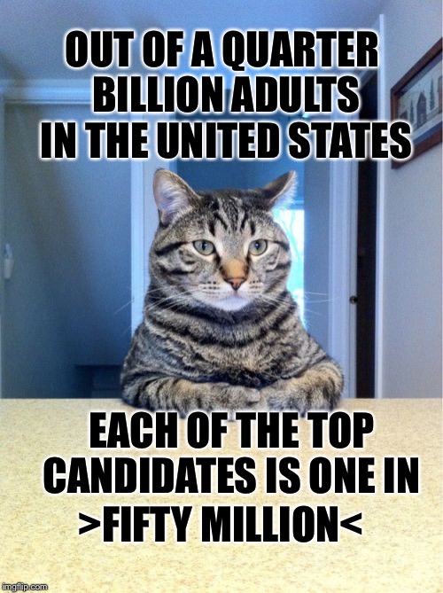Take A Seat Cat Meme | OUT OF A QUARTER BILLION ADULTS IN THE UNITED STATES; EACH OF THE TOP CANDIDATES IS ONE IN; >FIFTY MILLION< | image tagged in memes,take a seat cat | made w/ Imgflip meme maker