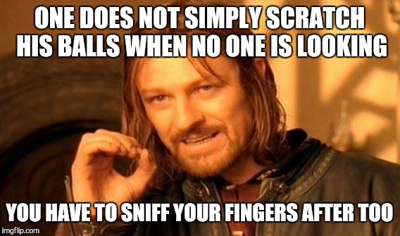 One Does Not Simply Meme | ONE DOES NOT SIMPLY SCRATCH HIS BALLS WHEN NO ONE IS LOOKING; YOU HAVE TO SNIFF YOUR FINGERS AFTER TOO | image tagged in memes,one does not simply | made w/ Imgflip meme maker