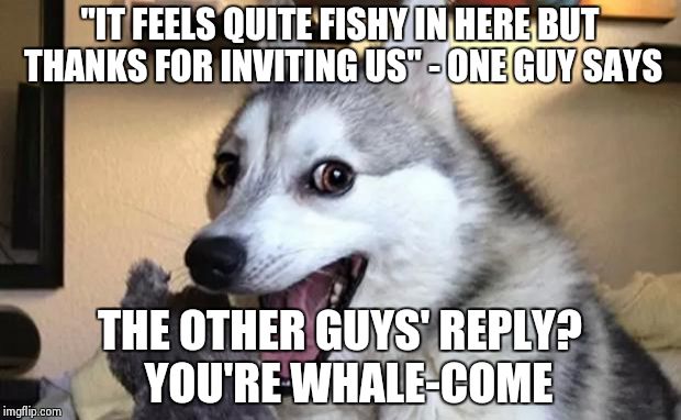 Pun dog - husky | "IT FEELS QUITE FISHY IN HERE BUT THANKS FOR INVITING US" - ONE GUY SAYS; THE OTHER GUYS' REPLY? 
YOU'RE WHALE-COME | image tagged in pun dog - husky | made w/ Imgflip meme maker