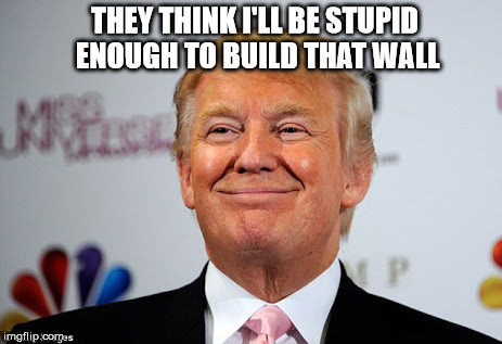 Trump can't build a wall | THEY THINK I'LL BE STUPID ENOUGH TO BUILD THAT WALL | image tagged in donald trump approves,funny,trump wall,memes,front page | made w/ Imgflip meme maker