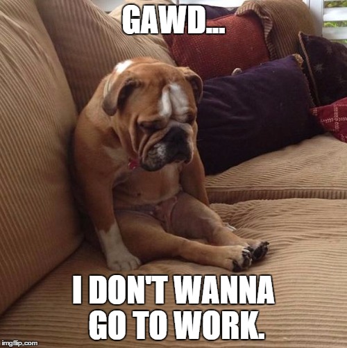 bulldogsad | GAWD... I DON'T WANNA GO TO WORK. | image tagged in bulldogsad | made w/ Imgflip meme maker