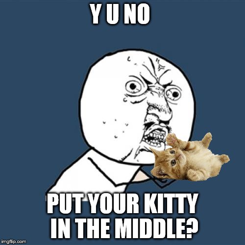 Y U No Meme | Y U NO PUT YOUR KITTY IN THE MIDDLE? | image tagged in memes,y u no | made w/ Imgflip meme maker