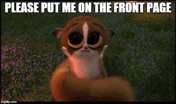 Please Put Me On The Front page (Mort From Madagascar) - Imgflip