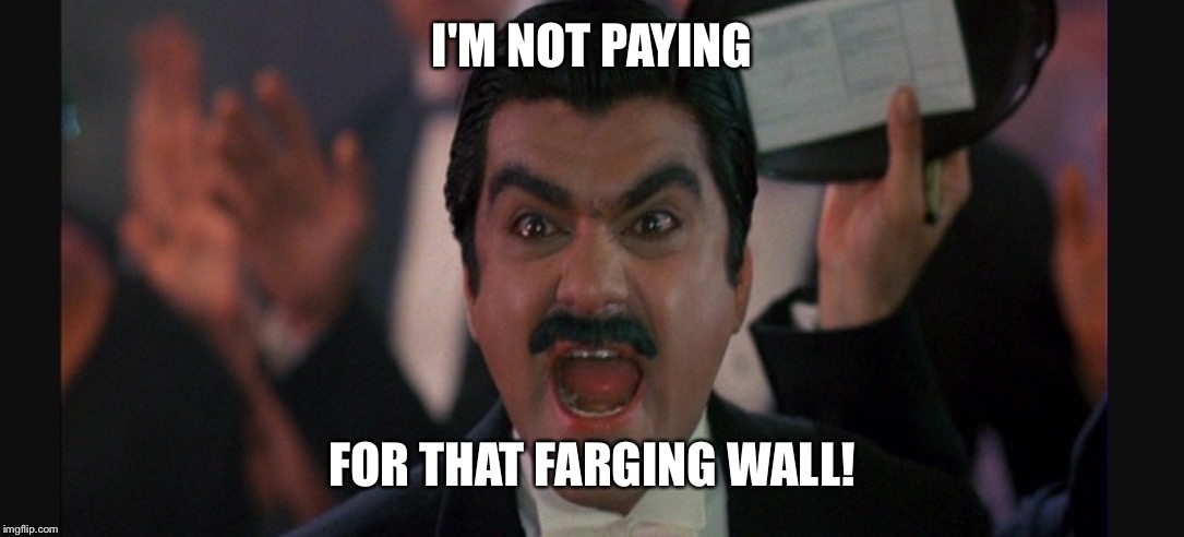 Mexico wall | I'M NOT PAYING; FOR THAT FARGING WALL! | image tagged in donald trump,mexico,wall,vincente fox | made w/ Imgflip meme maker