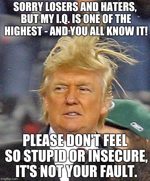Donald Trumph hair | SORRY LOSERS AND HATERS, BUT MY I.Q. IS ONE OF THE HIGHEST - AND YOU ALL KNOW IT! PLEASE DON'T FEEL SO STUPID OR INSECURE, IT'S NOT YOUR FAULT. | image tagged in donald trumph hair | made w/ Imgflip meme maker