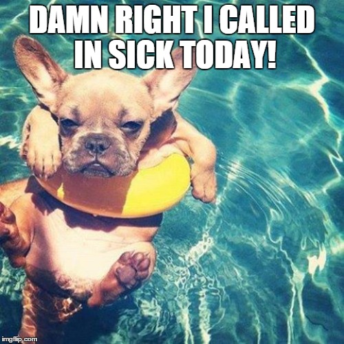 Summer is here dog pug | DAMN RIGHT I CALLED IN SICK TODAY! | image tagged in summer is here dog pug | made w/ Imgflip meme maker