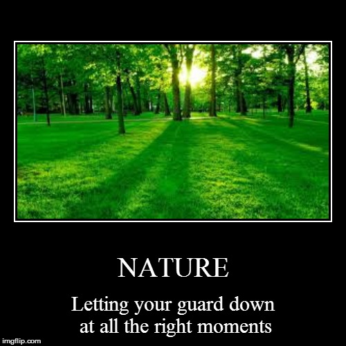 There could be a bulldozer right behind you... | image tagged in funny,demotivationals,nature,trees,tree,danger | made w/ Imgflip demotivational maker